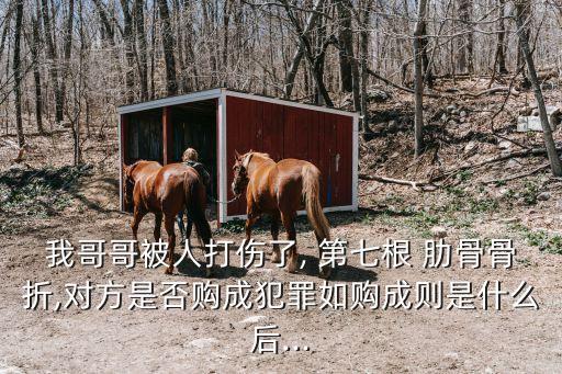 我哥哥被人打傷了, 第七根 肋骨骨折,對(duì)方是否購(gòu)成犯罪如購(gòu)成則是什么后...