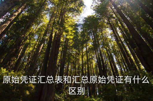 原始憑證匯總表和匯總原始憑證有什么區(qū)別