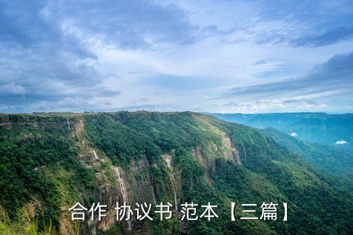 貼牌合作協(xié)議合同范本,股東入股合作協(xié)議合同范本