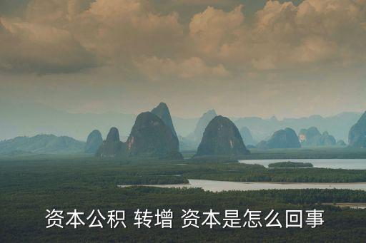 轉(zhuǎn)增資本