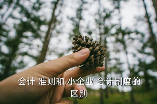 企業(yè)會計準(zhǔn)則和小企業(yè)會計準(zhǔn)則的區(qū)別,小公司一般用什么財務(wù)軟件