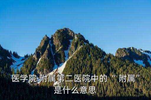 附屬是什么意思,浙大教科附屬是什么意思