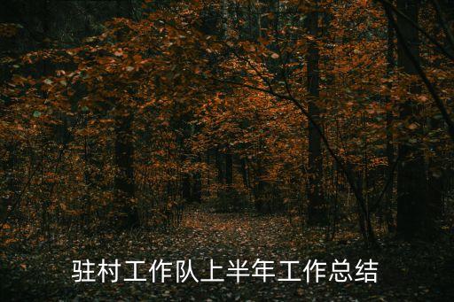 駐村工作隊(duì)上半年工作總結(jié)