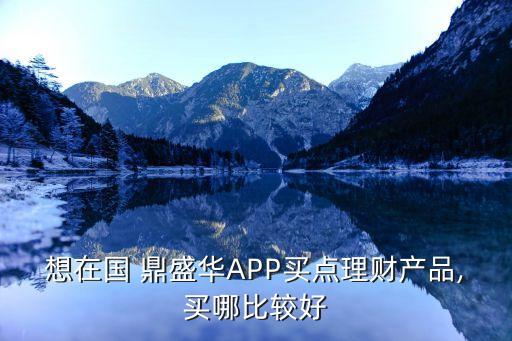 鼎盛app下載