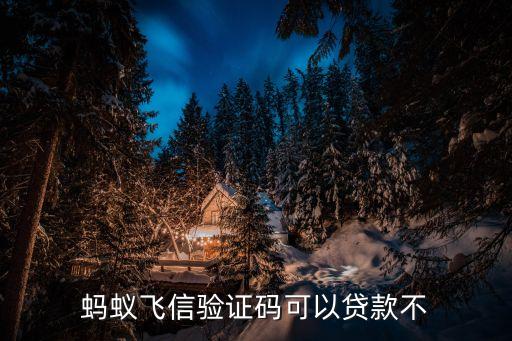 螞蟻飛信驗(yàn)證碼可以貸款不
