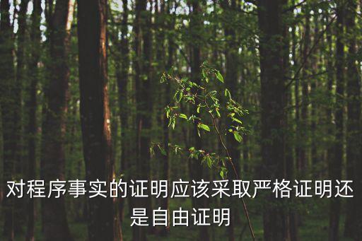 對程序事實的證明應(yīng)該采取嚴格證明還是自由證明
