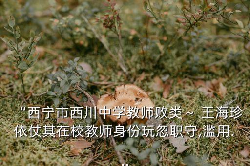 王海珍