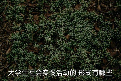 實(shí)習(xí)形式,實(shí)習(xí)內(nèi)容