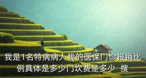 我是1名特病病人我的醫(yī)保門(mén)診報(bào)銷比例具體是多少門(mén)坎費(fèi)是多少  搜