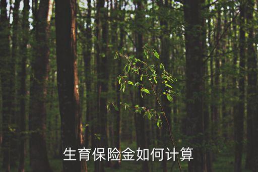生育保險(xiǎn)金如何計(jì)算