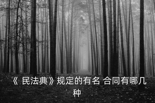《 民法典》規(guī)定的有名 合同有哪幾種