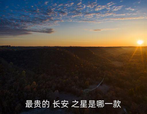 長安之星面包車