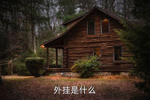 什么是外掛，外掛是什么