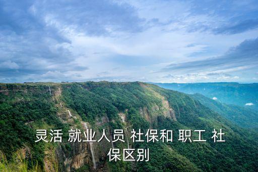 職工社保和靈活就業(yè)社保的區(qū)別,成都職工社保和靈活就業(yè)社保的區(qū)別