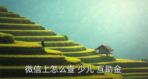 少兒互助金