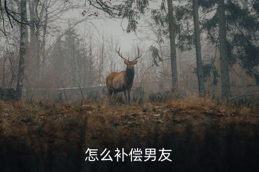 怎么補(bǔ)償男朋友，怎么補(bǔ)償男友