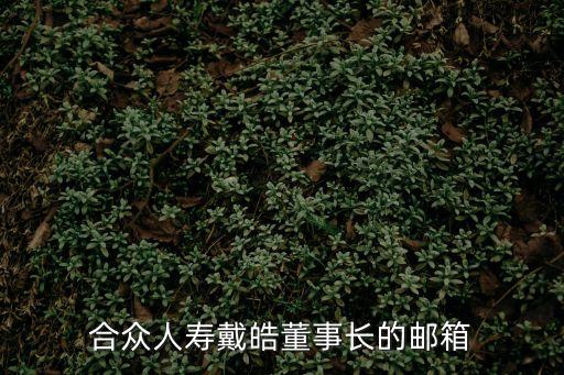合眾人壽戴皓董事長的郵箱