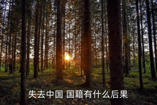 失去中國 國籍有什么后果
