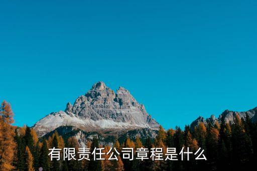 有限責(zé)任公司章程是什么