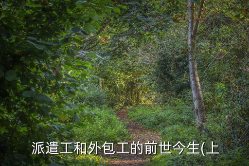 假外包真派遣認定要素,真外包假派遣
