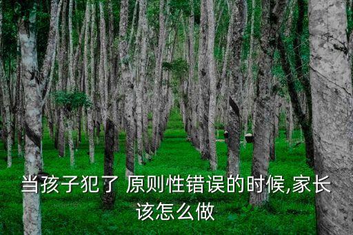 原則性錯(cuò)誤,男女之間什么是原則性錯(cuò)誤