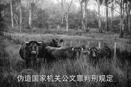 偽造公文罪，偽造國(guó)家機(jī)關(guān)公文罪判刑規(guī)定