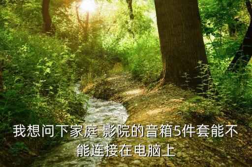 我想問下家庭 影院的音箱5件套能不能連接在電腦上
