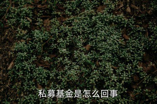私募基金是什么，什么是私募基金如何衍生的