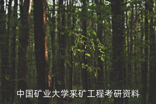 中國礦業(yè)大學采礦工程考研資料
