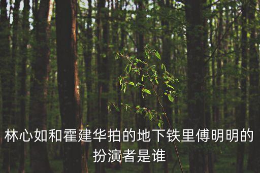 林心如和霍建華拍的地下鐵里傅明明的扮演者是誰