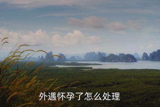 婚外情網(wǎng)