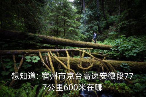 想知道: 宿州市京臺高速安徽段777公里600米在哪