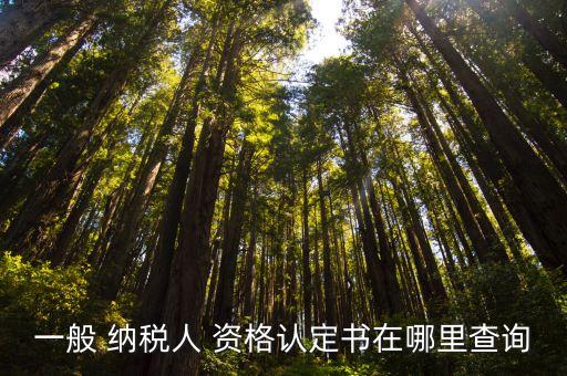 一般 納稅人 資格認(rèn)定書(shū)在哪里查詢(xún)
