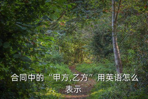 合同名稱英文,合同的英文字母