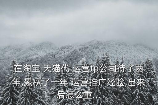 天貓代運營方案,天貓運營方案ppt