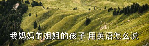 我媽媽的姐姐的孩子 用英語怎么說