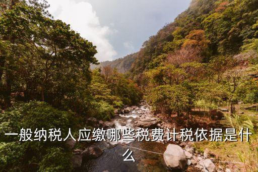 繳納稅費，公司要交哪些稅