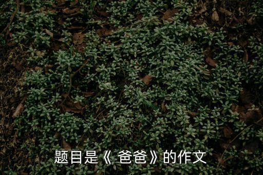 題目是《 爸爸》的作文