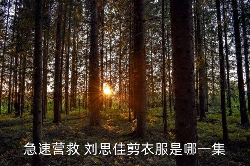 劉思佳