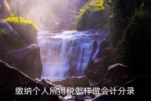 個(gè)人所得稅分錄，計(jì)提繳納個(gè)人所得稅怎樣做分錄