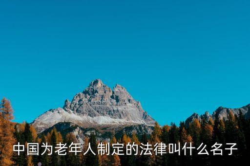 中國為老年人制定的法律叫什么名子