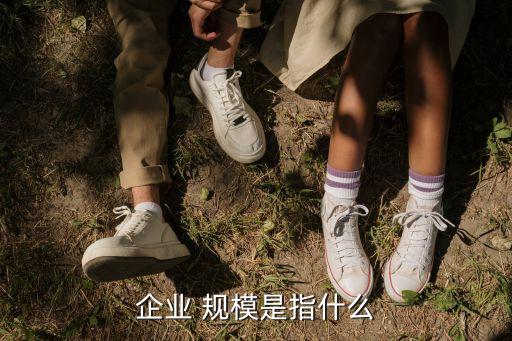 公司規(guī)模
