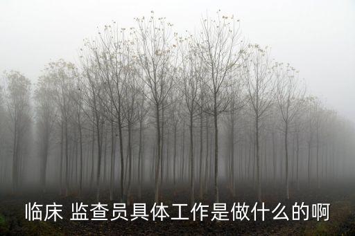 監(jiān)查,監(jiān)察委員會(huì)的職責(zé)