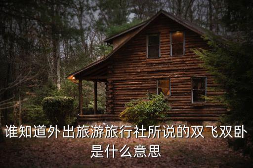 賓館雙飛，雙飛雙臥都是什么意思