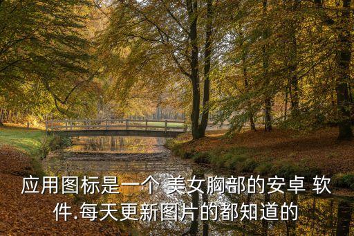 應(yīng)用圖標(biāo)是一個(gè) 美女胸部的安卓 軟件.每天更新圖片的都知道的