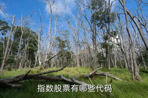 上海證券綜合指數(shù)