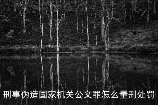 刑事偽造國家機關(guān)公文罪怎么量刑處罰
