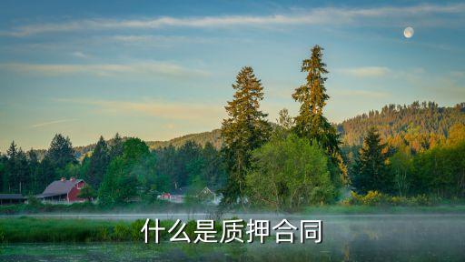 什么是質(zhì)押合同
