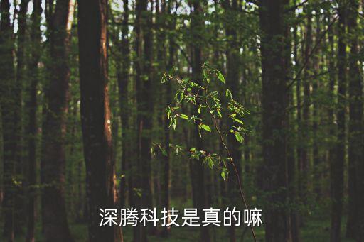 深騰科技是真的嘛