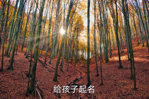 劉杰華，給兒子起名